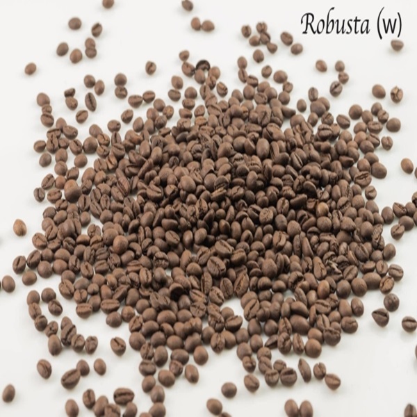 Robusta roasted coffee beans